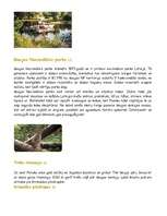 Referāts 'Ekskursija Gaujas senlejā', 5.