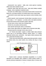 Referāts 'A/s "Valmieras stikla šķiedra" vadīšanas sistēma', 5.