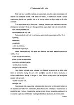 Referāts 'A/s "Valmieras stikla šķiedra" vadīšanas sistēma', 7.