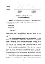 Referāts 'A/s "Valmieras stikla šķiedra" vadīšanas sistēma', 8.