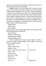 Referāts 'A/s "Valmieras stikla šķiedra" vadīšanas sistēma', 11.