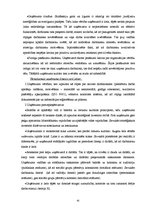 Referāts 'A/s "Valmieras stikla šķiedra" vadīšanas sistēma', 42.