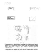 Paraugs 'Izslauktā piena uzskaite', 2.
