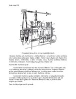 Paraugs 'Izslauktā piena uzskaite', 4.