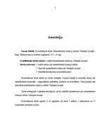 Referāts 'Menedžmenta funkciju analīze Ventspils muzejā', 2.