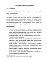 Referāts 'Menedžmenta funkciju analīze Ventspils muzejā', 7.