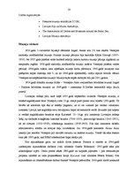 Referāts 'Menedžmenta funkciju analīze Ventspils muzejā', 20.