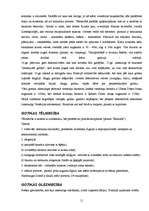 Referāts 'Viduslaiki', 11.