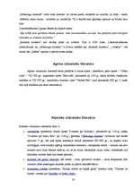 Referāts 'Viduslaiki', 20.