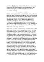 Eseja 'Franku karaliste', 2.