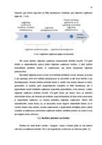 Diplomdarbs 'Uz aktīviem balstīta budžeta veidošana loģistikas uzņēmumā', 14.