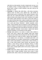 Diplomdarbs 'Uz aktīviem balstīta budžeta veidošana loģistikas uzņēmumā', 22.