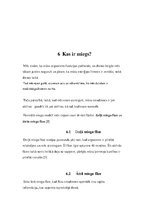 Referāts 'Miegs', 8.