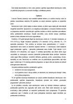 Referāts 'Ar brīvības atņemšanu notiesāto izglītības iespējas cietumos', 11.