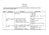 Prakses atskaite 'Aprūpes plāns pediatrijā', 14.