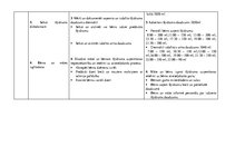 Prakses atskaite 'Aprūpes plāns pediatrijā', 19.