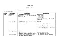 Prakses atskaite 'Aprūpes plāns pediatrijā', 20.