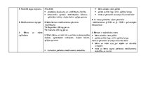 Prakses atskaite 'Aprūpes plāns pediatrijā', 22.