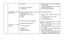 Prakses atskaite 'Aprūpes plāns pediatrijā', 30.