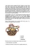 Referāts 'Vielu maiņa - metabolisms. Asimilācija un disimilācija', 2.