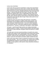 Eseja 'Latvijas valsts proklamēšana', 1.