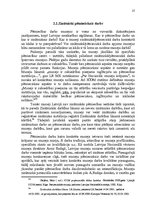 Diplomdarbs 'Muitas un nodokļu muzeja attīstības pētījums', 27.