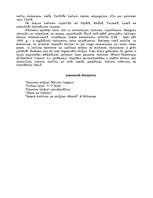 Referāts 'Budisms', 4.