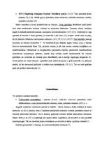 Referāts 'Zobu porcelāna restaurācijas pamatu iedalījums', 19.