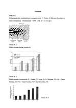 Referāts 'Zobu porcelāna restaurācijas pamatu iedalījums', 31.