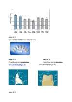 Referāts 'Zobu porcelāna restaurācijas pamatu iedalījums', 37.