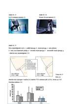 Referāts 'Zobu porcelāna restaurācijas pamatu iedalījums', 40.