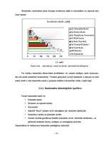 Diplomdarbs 'Maksājumu karšu apstrādes iespējas Latvijā', 41.