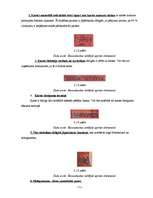 Diplomdarbs 'Maksājumu karšu apstrādes iespējas Latvijā', 71.