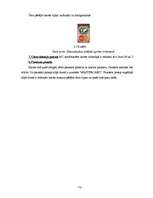 Diplomdarbs 'Maksājumu karšu apstrādes iespējas Latvijā', 72.