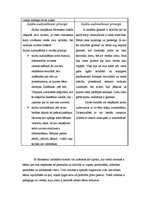 Referāts 'Montesori pedagoģija pamatskolā', 4.