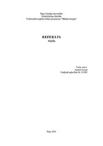 Referāts 'Akrila krāsa', 1.