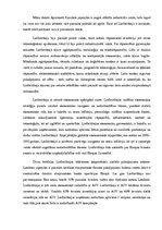 Konspekts 'Industriālā revolūcija un ainava', 2.