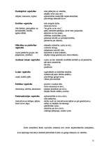 Referāts 'Profesionālās izdegšanas sindroma mijsakarības ar vajadzību apmierinātības līmen', 21.