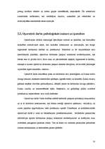 Referāts 'Profesionālās izdegšanas sindroma mijsakarības ar vajadzību apmierinātības līmen', 30.
