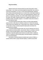 Referāts 'Ekspresīvā leksika interneta neformālajā sarunvalodā', 4.