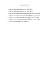 Referāts 'Ekspresīvā leksika interneta neformālajā sarunvalodā', 8.