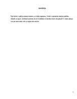 Referāts 'Kokaīns un tā ietekme uz cilvēka organismu', 2.