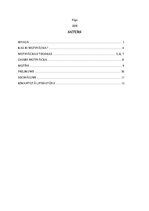 Referāts 'Motivācija', 2.