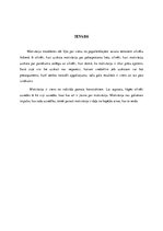 Referāts 'Motivācija', 3.