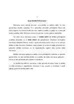 Referāts 'Motivācija', 4.