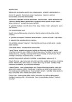 Konspekts 'Romantisms', 1.