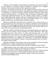 Referāts 'Endokrīnā sistēma', 3.