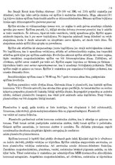 Referāts 'Endokrīnā sistēma', 9.