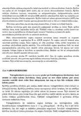 Referāts 'Endokrīnā sistēma', 10.