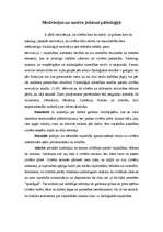 Referāts 'Motivācijas un motīva jēdzieni psiholoģijā', 1.